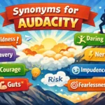 synonyms for audacity