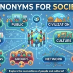 synonyms for society